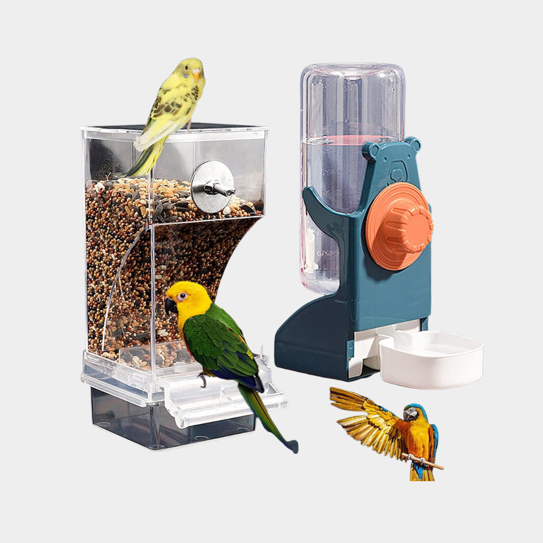 Automatic Parrot Feeder Cage Accessories