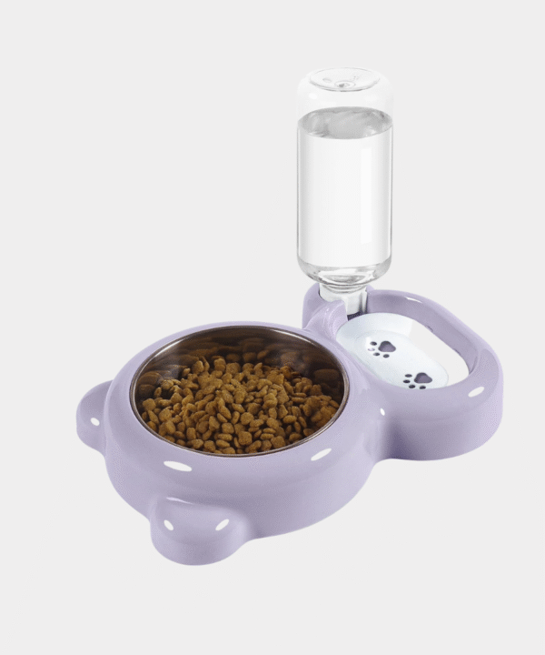 Cat Food and Water Bowl Set with Water Dispenser