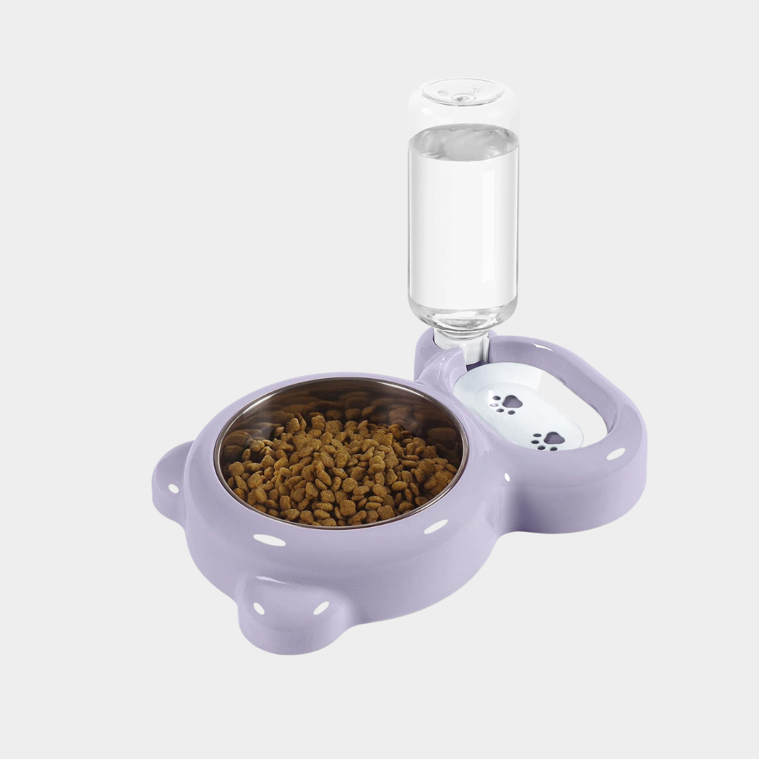 Cat Food and Water Bowl Set with Water Dispenser