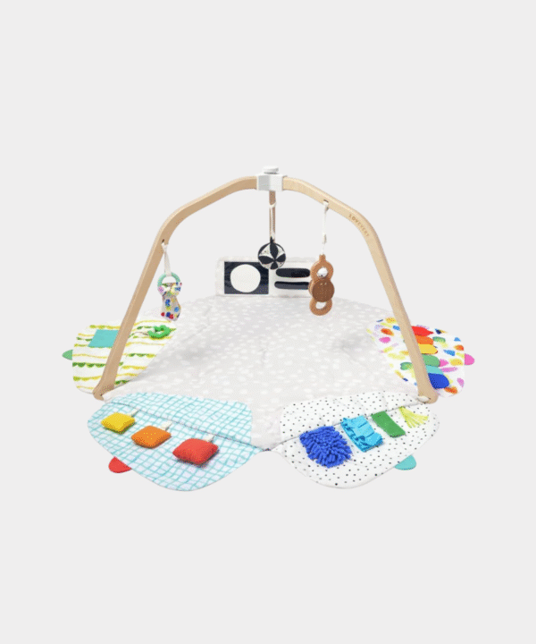The Play Gym & Play Mat for Baby to Toddler