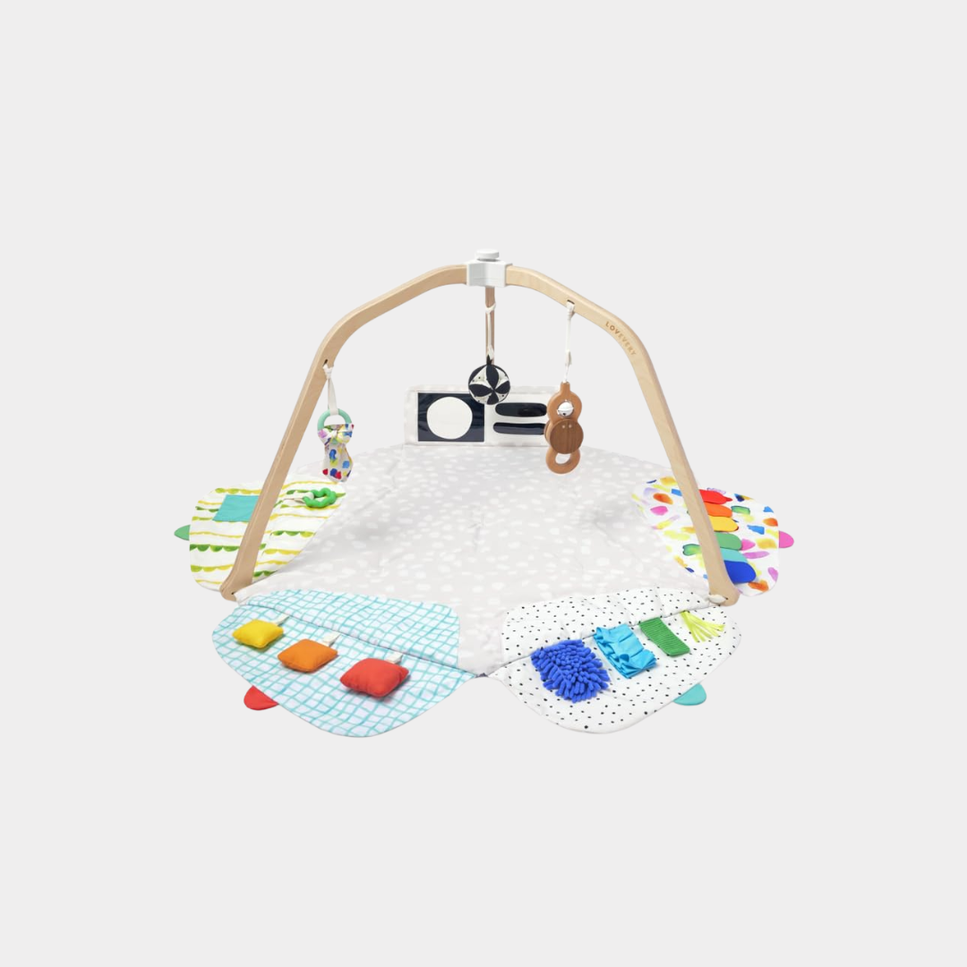 The Play Gym & Play Mat for Baby to Toddler